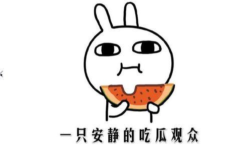 网红吃瓜文案短句搞笑图片,笑料横飞，短句图片带你领略搞笑瞬间