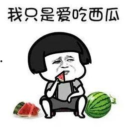 娱乐都是吃瓜,瓜田里的欢乐与八卦